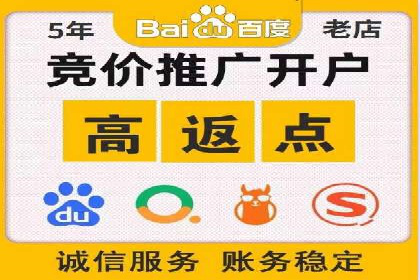 行业领先！专业SEM托管的成功实践案例
